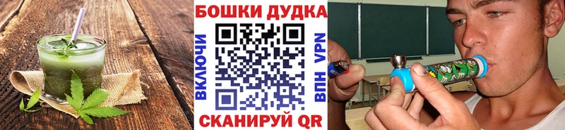 Купить  Камызяк  Canna-Cookies конопля 