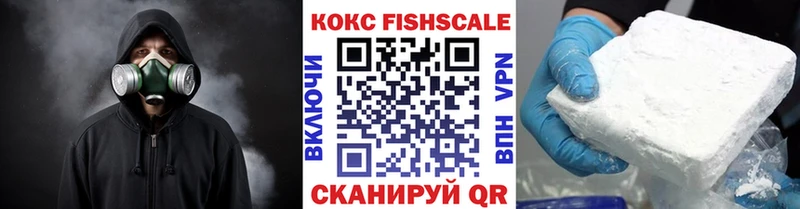 Купить где  Камызяк  Кокаин Fish Scale 