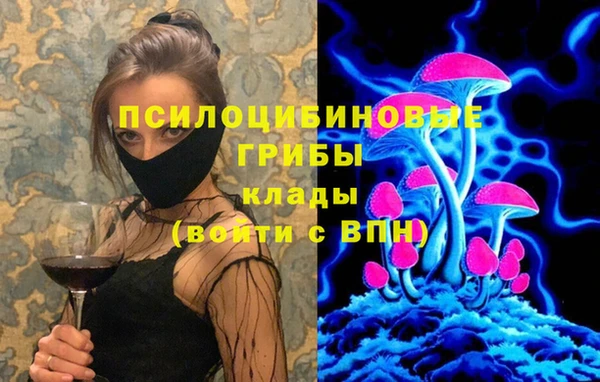 СК Новозыбков