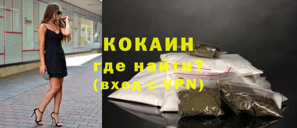 СК Новозыбков