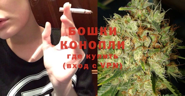 СК Новозыбков