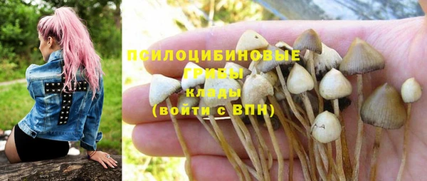 мескалин Новодвинск