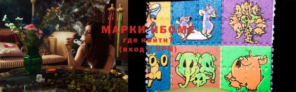 СК Новозыбков