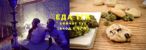 СК Новозыбков
