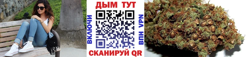 Купить закладки  Камызяк  Бошки марихуана VHQ 